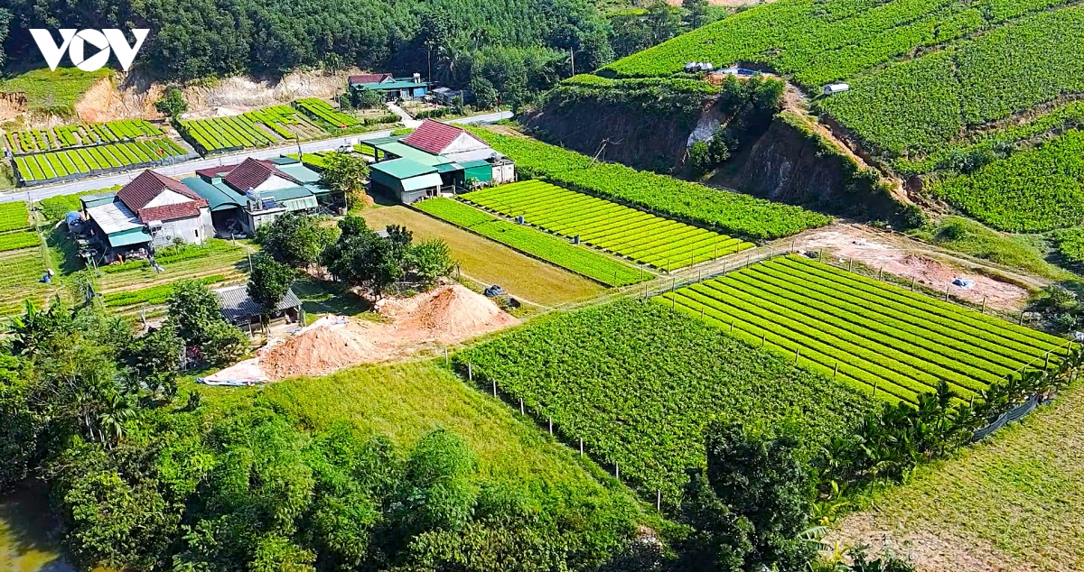 Nghệ An - Hành trình giảm nghèo bền vững